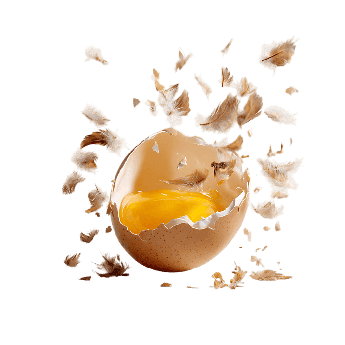 Broken eggshell with yolk and feathers