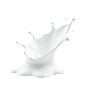 Isolated milk splash on black for product shots and ads