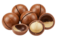 Macadamia nuts, shelled and unshelled, close up.
