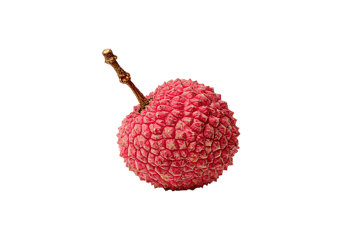 Single lychee fruit on black background.