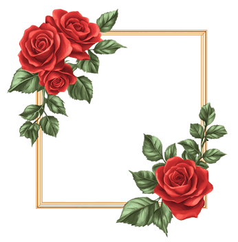 Red roses frame border