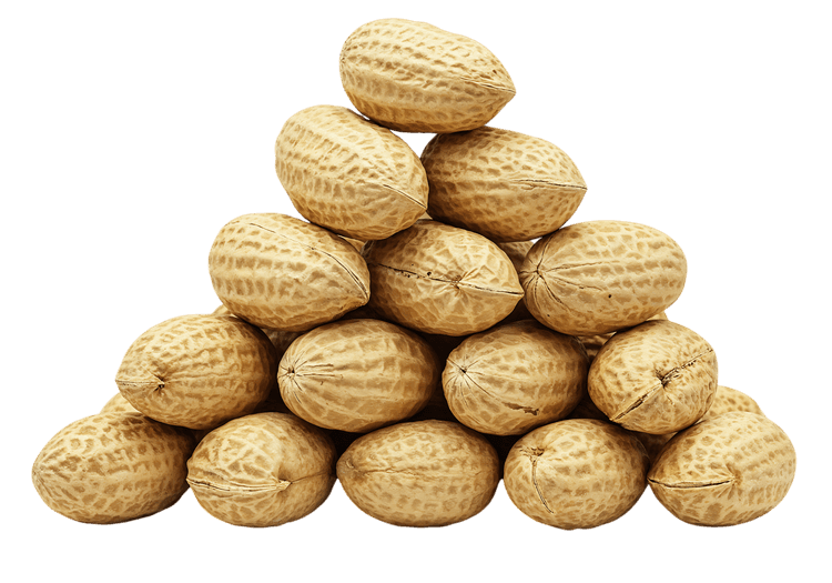 Pile of peanuts in shell, close up.