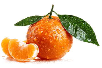 Fresh mandarin orange with water droplets and segments.