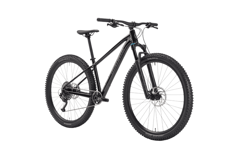 Sleek black mountain bike for outdoor adventures and exercise
