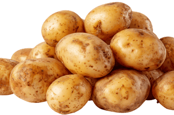 Pile of fresh potatoes, close up view.