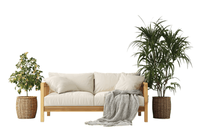 Modern living room interior with sofa and plants