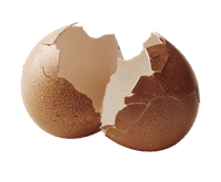Cracked eggshell, broken, fragile.