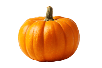 Fresh, ripe orange pumpkin isolated on black background