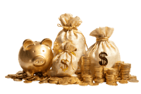 Golden piggy bank, money bags, and coins.