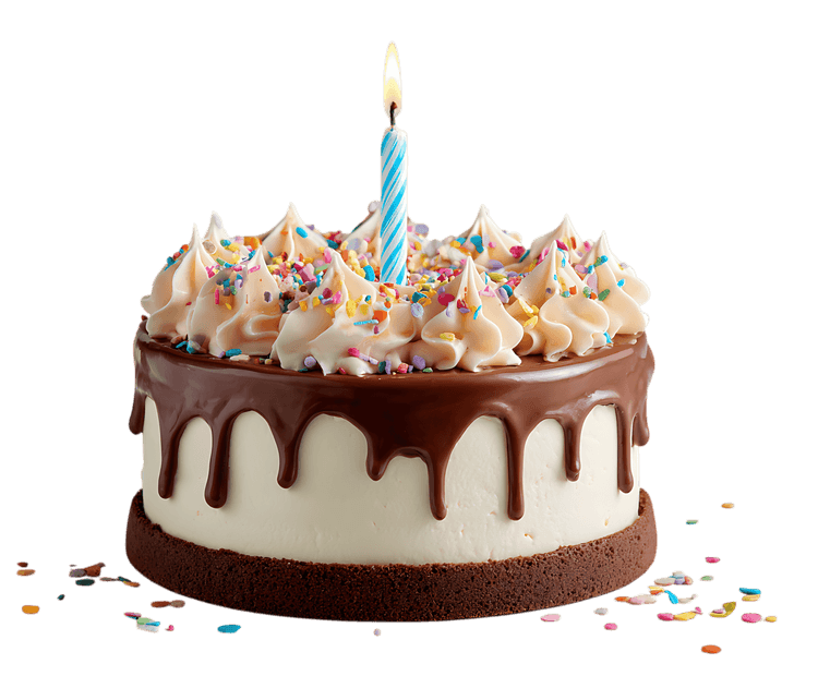 Single candle on a delicious birthday cake!