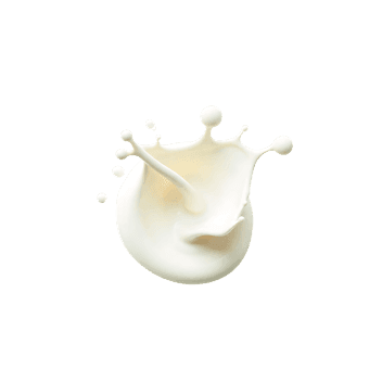Milk splash crown, creamy liquid motion on black
