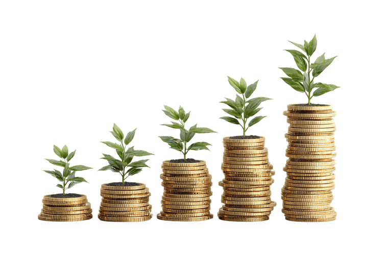 Growing money, investment growth concept