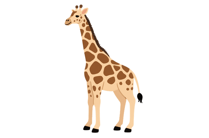 Cartoon giraffe illustration