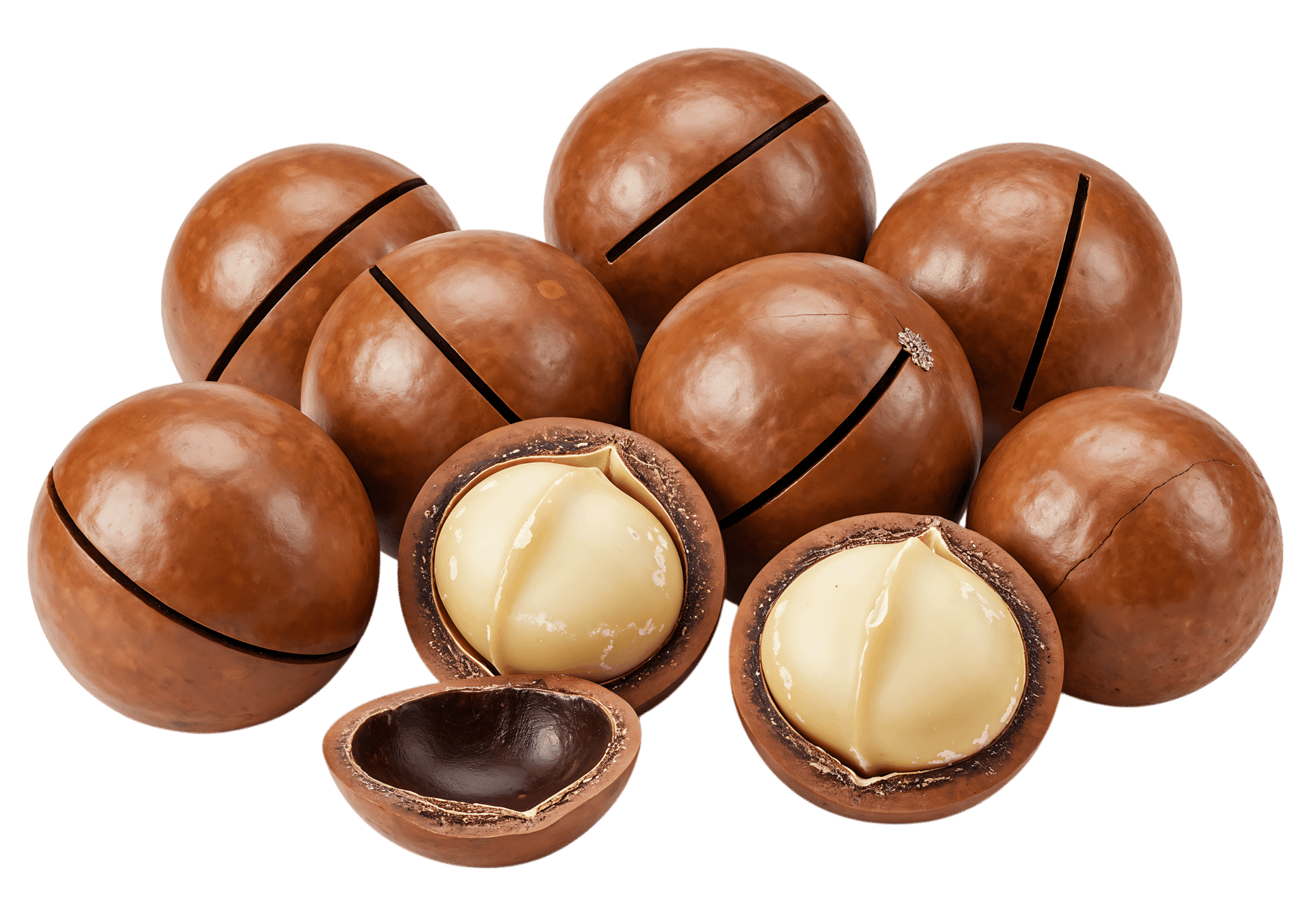 Macadamia nuts, whole and shelled, close up.