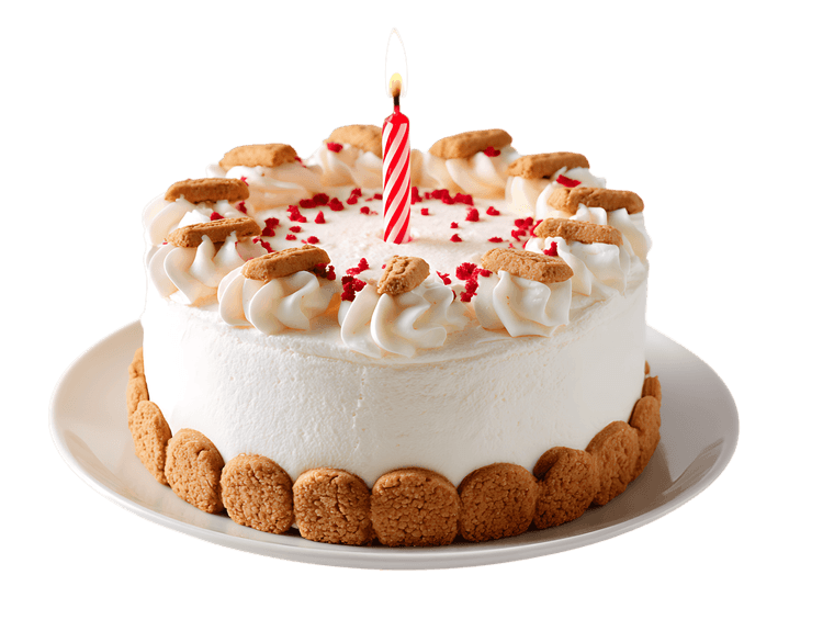 Delicious Birthday Cake with Candle713