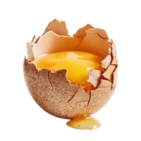 Golden yolk in a cracked eggshell.