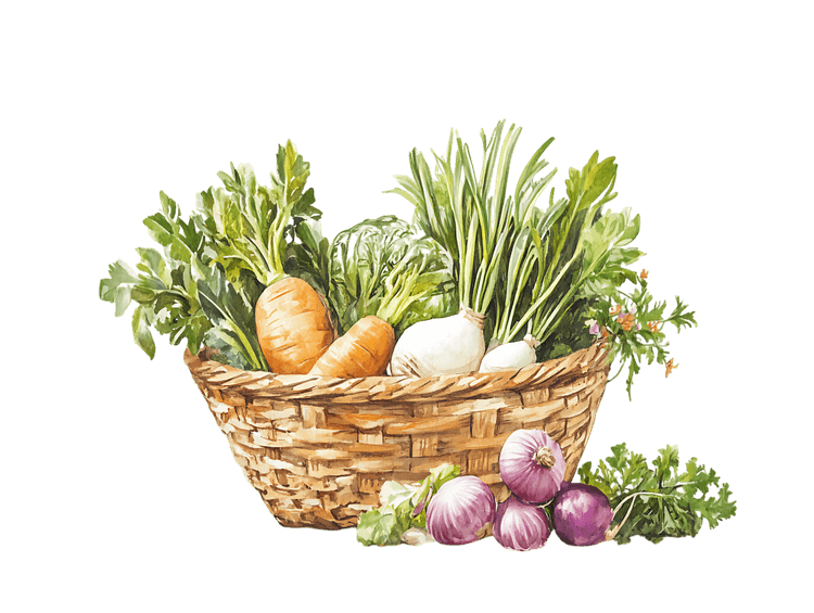 Fresh organic vegetables in a wicker basket
