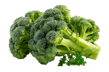 Fresh broccoli florets on a black background
