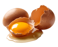Close-up of a broken egg, yolk visible