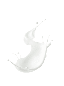 Milk splash, dairy, liquid, and beverage illustration