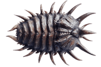Close up of a spiky, dark colored creature.