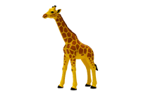 Illustration of a giraffe836
