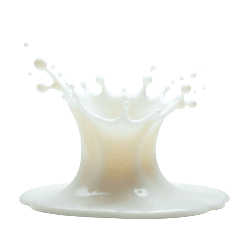 High speed capture of a milk droplet creating a crown like splash formation on a white ceramic saucer582