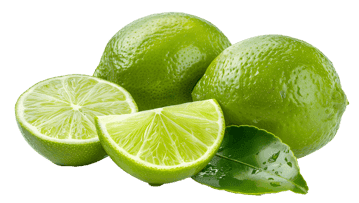 Fresh limes with slices and a leaf for culinary concepts