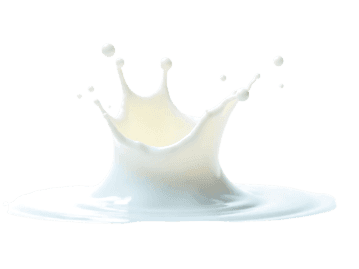 Dramatic splash of fresh white milk on transparent background