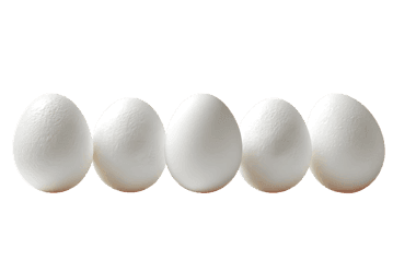 Five fresh white chicken eggs arranged in a neat row on a plain background, symbolizing uniformity and purity
