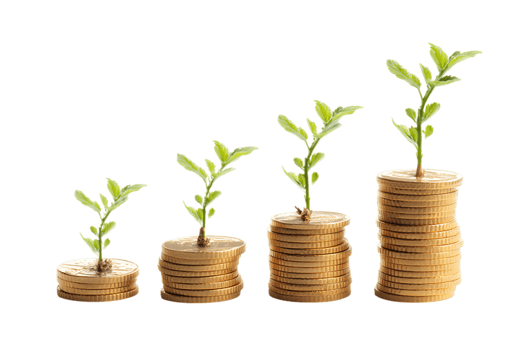 Stacks of coins with growing plants symbolizing investment growth and financial success.