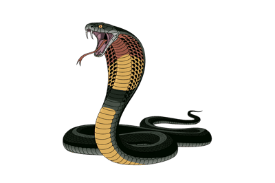 Illustration of a cobra snake with hood up535