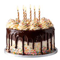 Delicious chocolate cake with sprinkles and lit candles.
