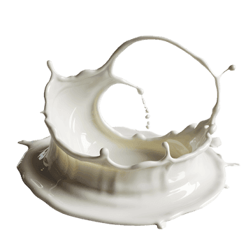 Milk splash crown, fresh dairy product