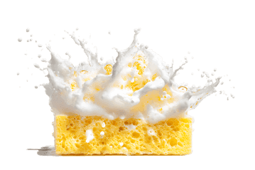 Creamy milk splash over sponge cake. Delicious dessert!131