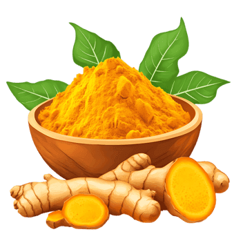 Turmeric powder and fresh turmeric roots.