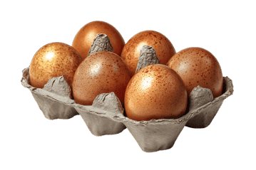 Five golden brown eggs in a carton