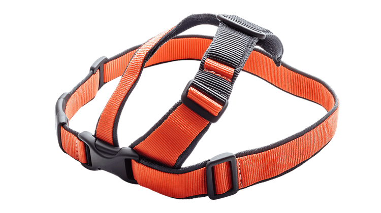 Orange and black adjustable safety harness