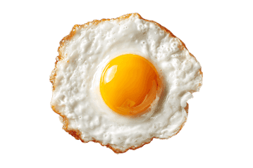 Close up of a perfectly fried egg.