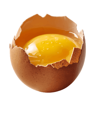 Golden yolk in cracked eggshell