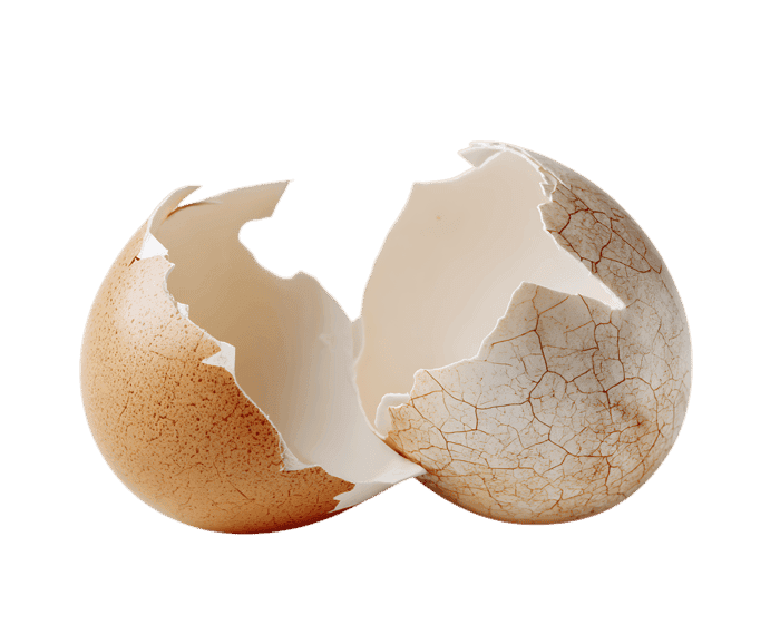 Broken eggshell on black background
