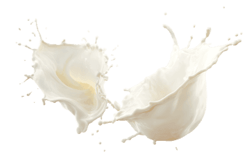 Milk splash, creamy texture, dairy product.