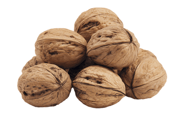 Pile of walnuts isolated on black background