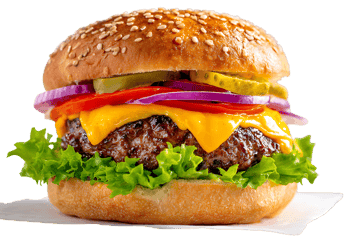 Juicy cheeseburger with all the fixings256.