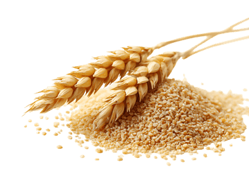 Golden Wheat and Grain