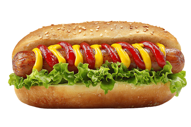 Classic hot dog with mustard and ketchup443.