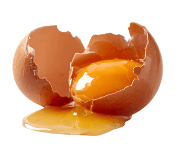 Golden yolk spills from cracked egg.