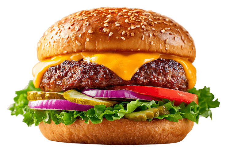 Juicy cheeseburger with all the fixings271.