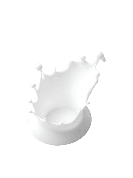 Fresh milk splash on black background