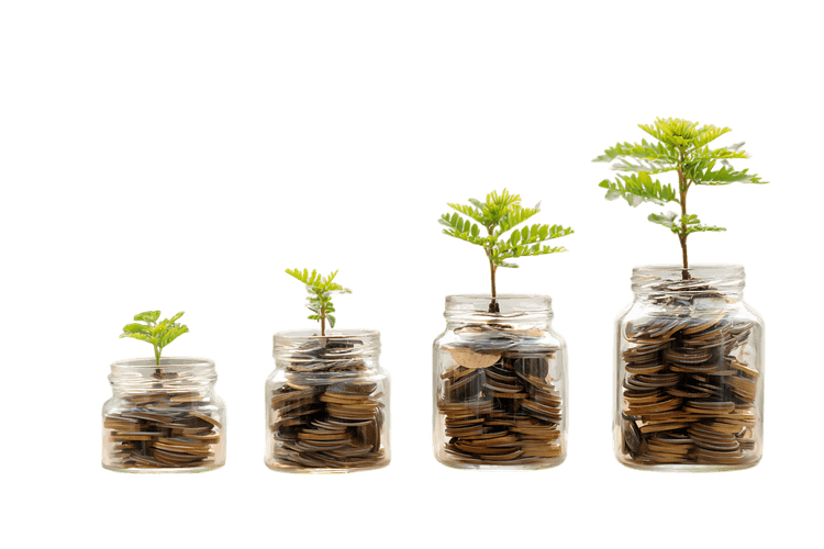 Growing plants in jars with coins symbolize financial growth.